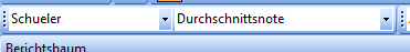 Schueler2.PNG