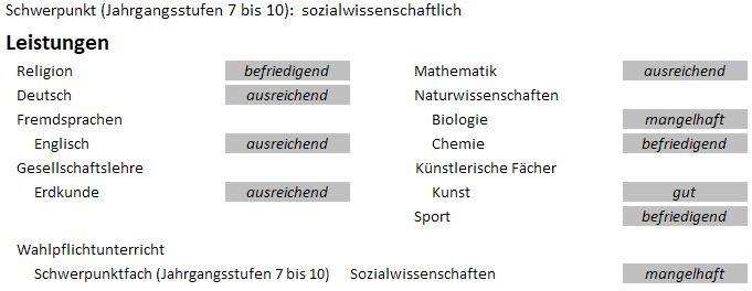 SoWi_Zeugnis_alt.jpg