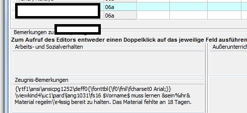 Bemerkungenbug.png