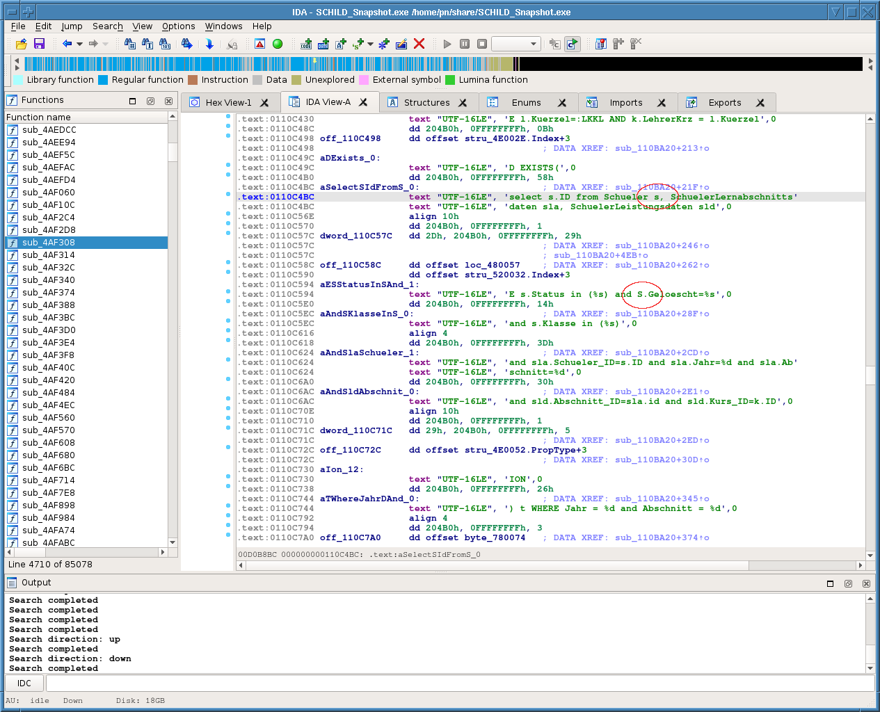 screenshot_schild_snapshot_in_ida.png