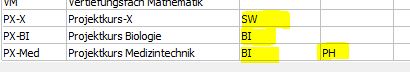 Leitfach Projektkurs.JPG