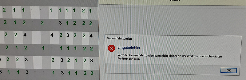 Fehlermeldung_Schülerlupe.png