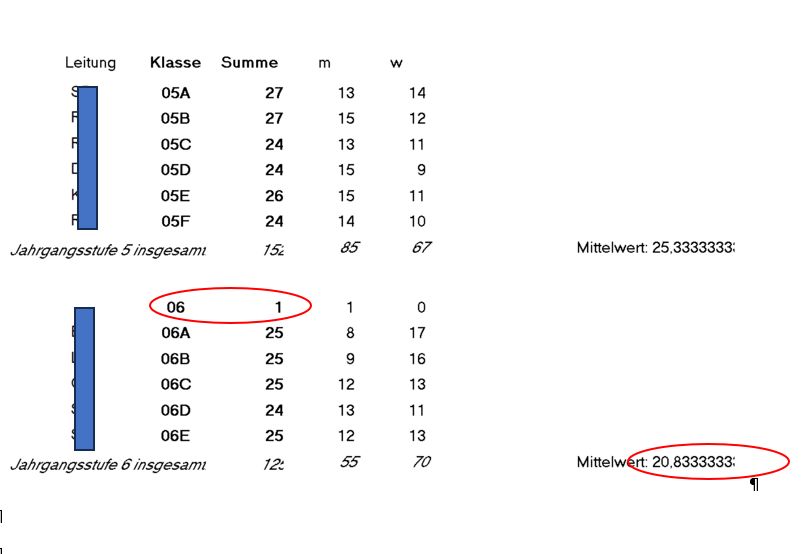 Klassenstärken und Durchschnittswerte.jpg