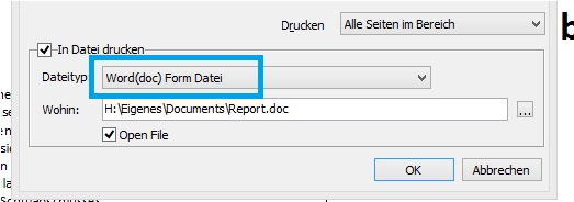 Drucken in Word_Form Datei.jpg