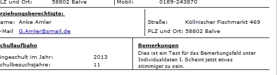 Bemerkung Individualdaten I.jpg