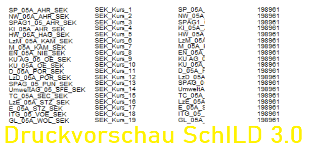 Druckvorschau SchILD 3.0.png