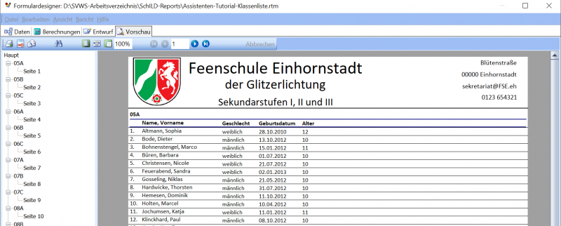 Datei:SchILD Report Anpassen 20.png