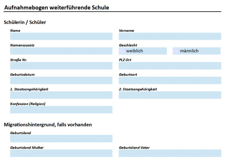 Datei:SchILD Reports Basissammlung AufnahmebögenBeispiel.png