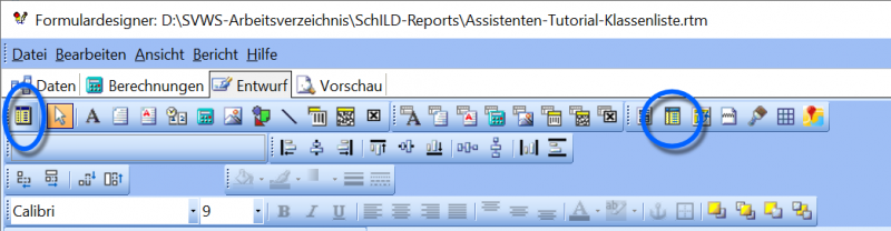 Datei:SchILD Report Anpassen 17.png