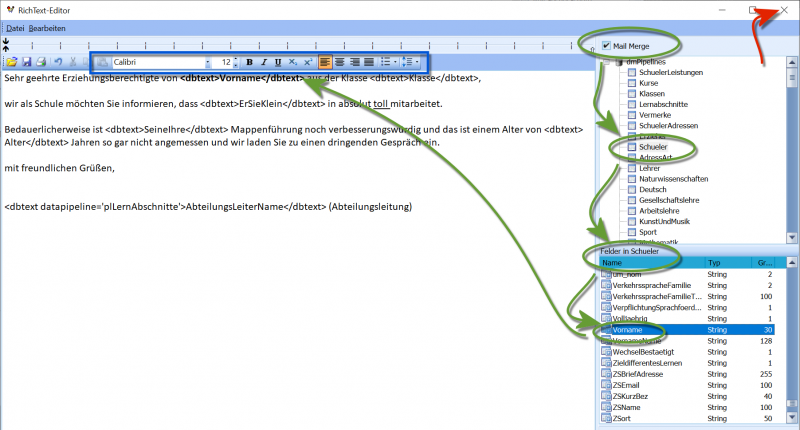 Datei:SchILD Reports Serienbriefe 6 RTF Editieren.png