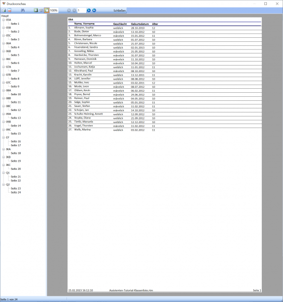 Datei:SchILD Report Anpassen 16.png