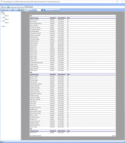 Datei:SchILD Report Anpassen 5.png