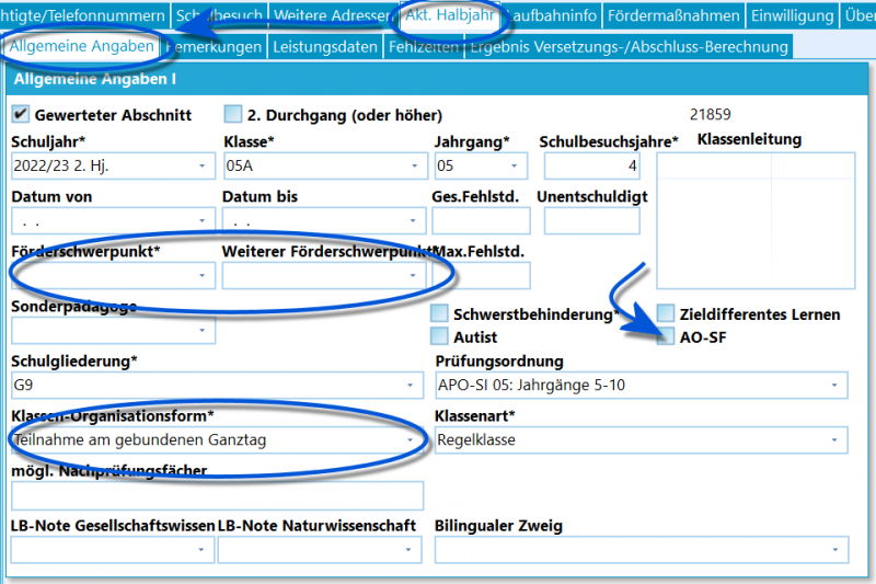 Datei:SchILD Tutorials Statistik Organisationsform usw.png