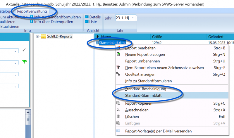 Datei:SchILD Reports Grundlagen 17 StandardreportsSetzen.png
